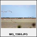 image précédente