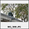 image IMG_2980.JPG