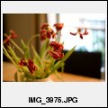 image IMG_3975.JPG
